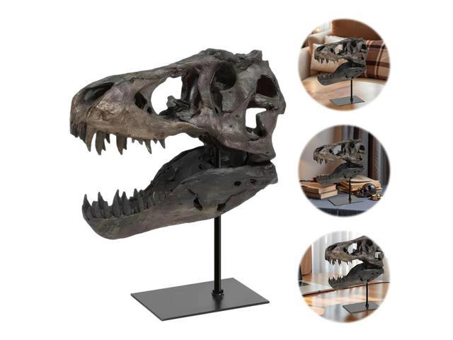 Tyrannosaurus Rex Fossil Figurine Resin Skull Statue with Bracket Skull Sculptures Home Office Decorations