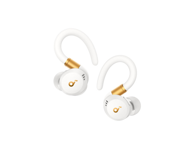 Sport X20 by Anker Noise Cancelling Workout Earbuds, Ear Hooks Rotatable and Extendable Ear Hooks, Deep Bass, IP68 Waterproof, Sweatproof,...