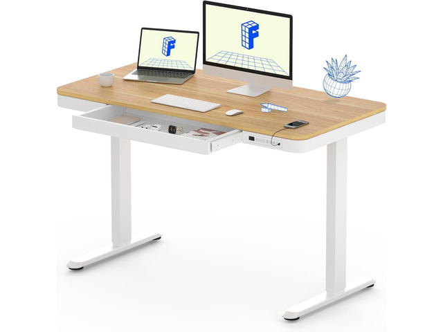 Electric Standing Desk with Drawers Charging USB Port, Height Adjustable 48' Whole-Piece Quick Install Home Office Computer Laptop Table with...
