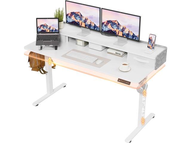 Electric Standing Desk with Drawers, Stand Up Desk with Storage Shelf Height Adjustable Computer Desk with Organizer for Home Office...