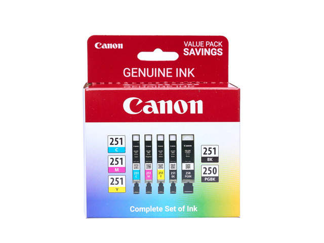 PGI-250/ CLI-251 5 Color Amazon Pack
