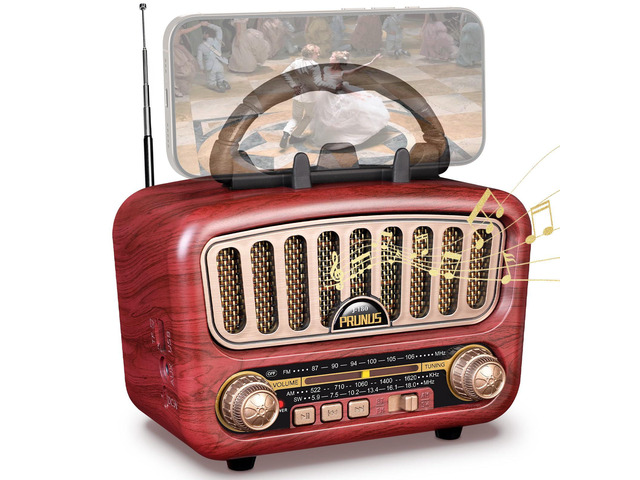 J-180 Vintage Retro Radio Bluetooth Speaker with Stereo Sound BT5.0 TF Card & MP3 Player, Rechargeable Speaker, Loud Volume, AM FM Radio Portable