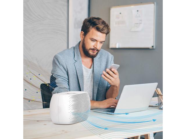 PureZone Breeze Tabletop 2-in-1 Air Purifier - True HEPA Filter Cleans Air, Helps Alleviate Allergies, Removes Pet Hair, & Smoke - Ideal for Home,...