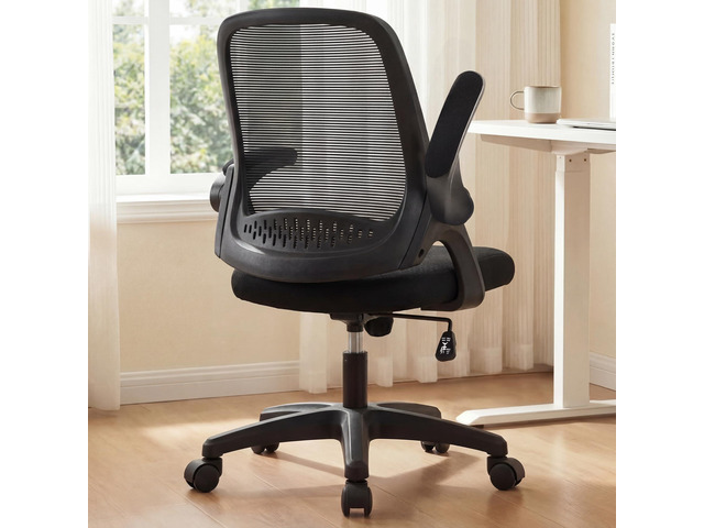 Office Desk Chair, Ergonomic Mesh with Flip-Up Arms, All Black Lumbar Support, Height Adjustment, 360° Swivel and Rolling Base, Space-Saving Design...