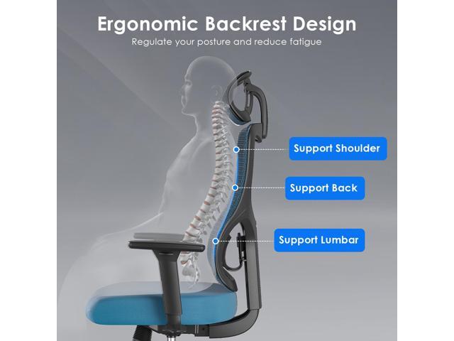 DEWAN Ergonomic Office Chair Mesh Desk Chair with Adjustable Lumbar Support and Headrest Comfy Computer Chair with 3D Armrest Reclining Swivel...