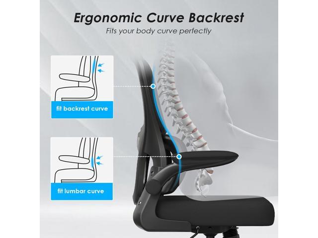 DEWAN Office Chair Mesh Ergonomic Chair with Lumbar Support Flip Armrest Rolling Wheels Black