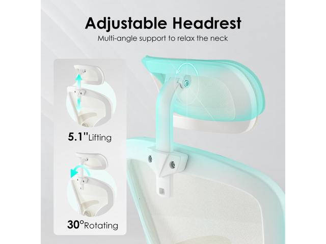 DEWAN Ergonomic Office Chair Home Office Desk Chair with Headrest High Back Computer Chair with Armrests and Adjustable Lumbar Support White & White