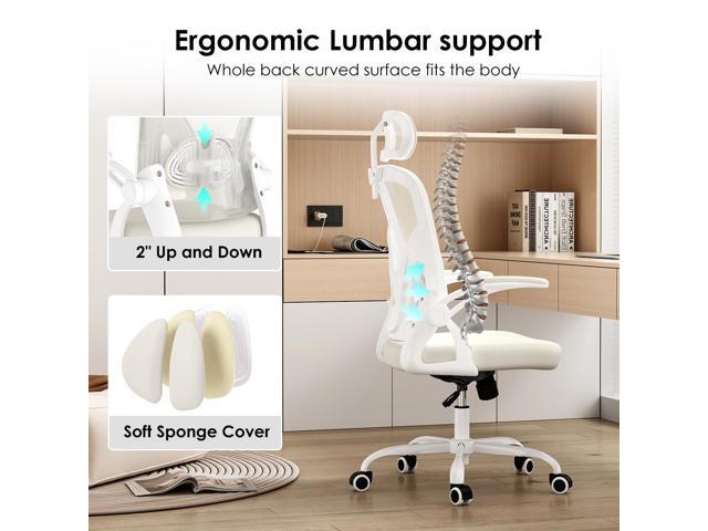DEWAN Ergonomic Office Chair Home Office Desk Chair with Headrest High Back Computer Chair with Armrests and Adjustable Lumbar Support White & White