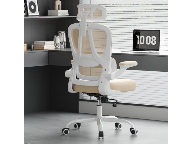 DEWAN Ergonomic Office Chair