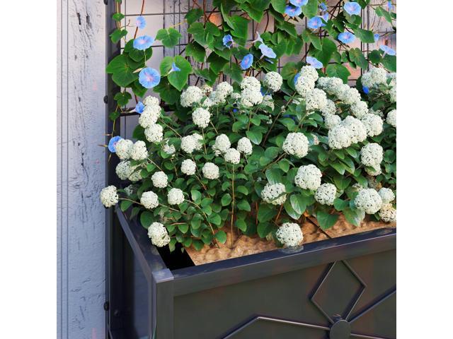Galvanized Raised Garden Bed with Trellis for Climbing Vines Vegetables Flowers, Outdoor Planter Box, 35.4' x 15.7' x 47.2', Black