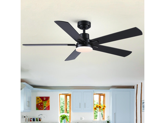 52' Black Lowe Profile Ceiling Fan with Light