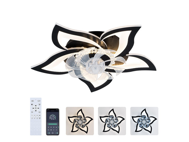 5 PCS Blades Ceiling Fan with Lights Remote Control, 24' Black, 6 Speeds 3 Light Color Low Profile Flush Mount Ceiling Fan for Kitchen Bedroom