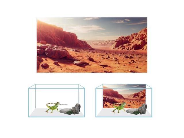 3 Pack Terrarium Background, 36x18 inches Polyester Reptile Background, Cloth Terrarium Backgrounds, Sunshine Cactus Stone & Green Tree Fern Stream...
