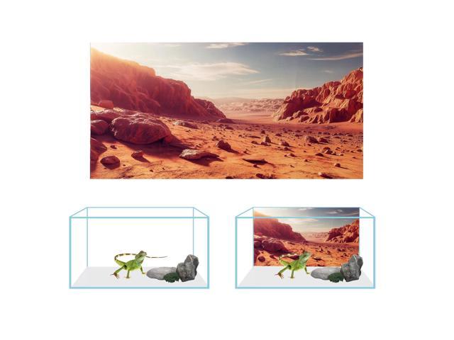 3 Pack Terrarium Background, 48x24 inches Polyester Reptile Backgrounds, Cloth Terrarium Background, Gobi Sunshine Cactus Stone & Green Tree Fern...