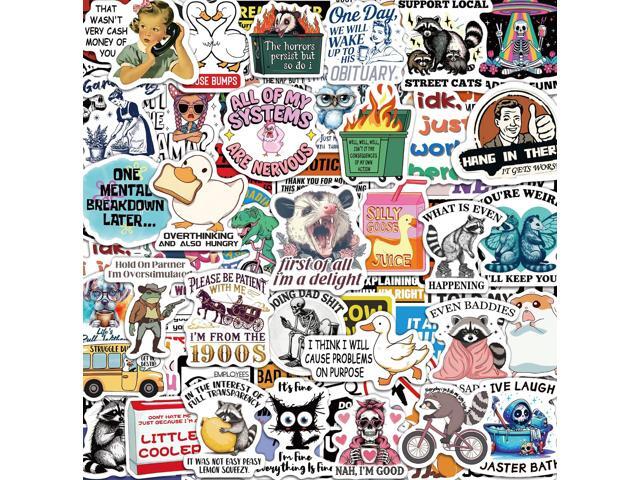 300 Pcs Funny Stickers for Adults, Water Bottle Vinyl Meme Laptop Waterproof Cute Sticker Pack, Scrapbook Planner Journal Stickers Supplies Gifts...
