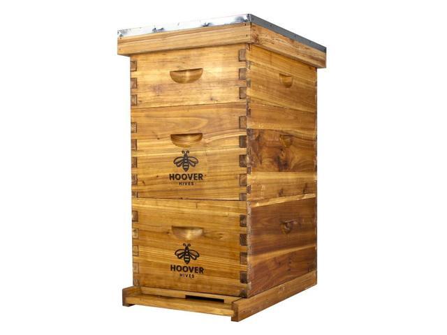 Complete 8-Frame Beehive Kit Wax-Coated Fir Wood, Includes 2 Deep Brood Boxes, 1 Medium Super, Langstroth Frames & CellTech Foundations Durable,.
