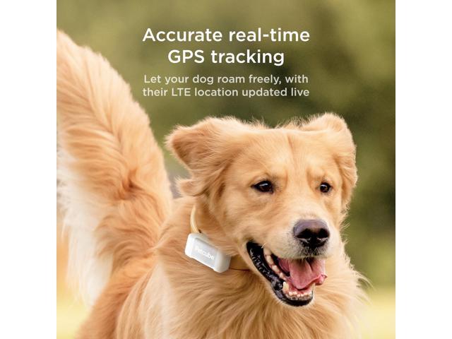 GPS Tracker for Dogs Pet GPS Location Tracker with Escape Alerts and Virtual Fences, Activity and Wellness Monitoring, Glows in a Dark, Water and...