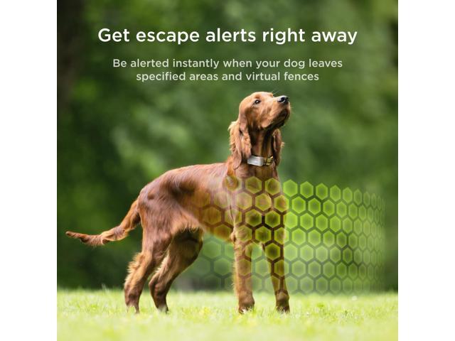 GPS Tracker for Dogs Real-Time Location Tracking, Escape Alerts & Virtual Fences, Activity & Wellness Monitoring, Glow-in-The-Dark, Water & Dust...