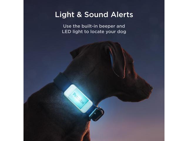 GPS Tracker for Dogs Real-Time Location Tracking, Escape Alerts & Virtual Fences, Activity & Wellness Monitoring, Glow-in-The-Dark, Water & Dust...
