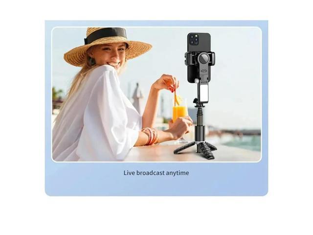 Balance Steady Shooting Selfie Stick Tripod Foldable Stand With Microphone For Gopro Action Cameras phones