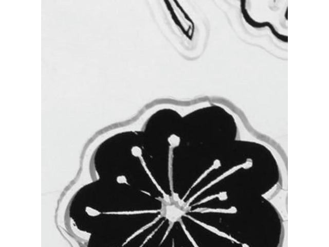 Flower Leaf Transparent Silicone Seals DIY Stamp Scrapbook Album Decor Gift