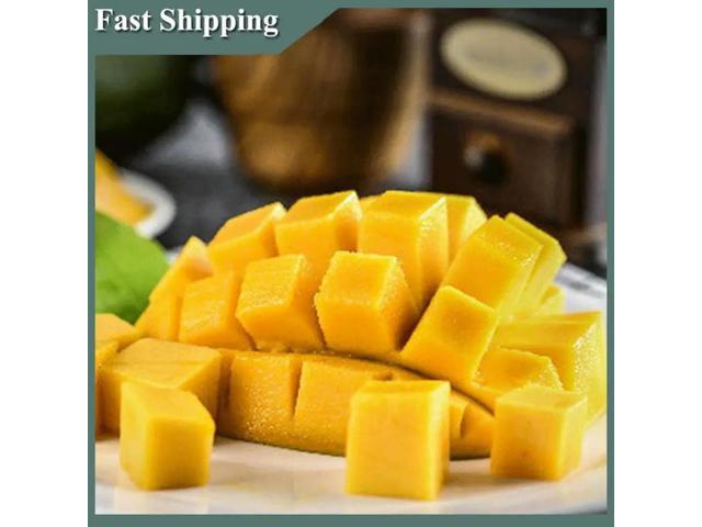 Stainless Steel Fruit Cutter Corer Dicer Fruit Slicer Multifunctional Fruit Core Removal Tool
