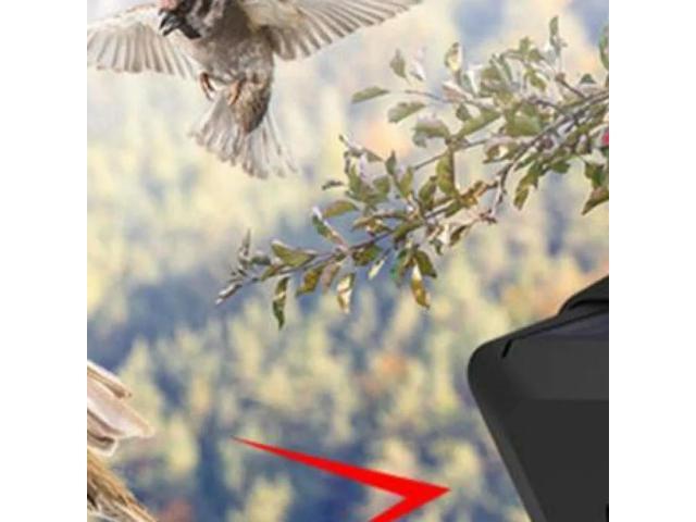 Bird Alarm with 13 Sound Solar Animal Waterproof Outdoor Crop Orchard Protection Animal Deterrents