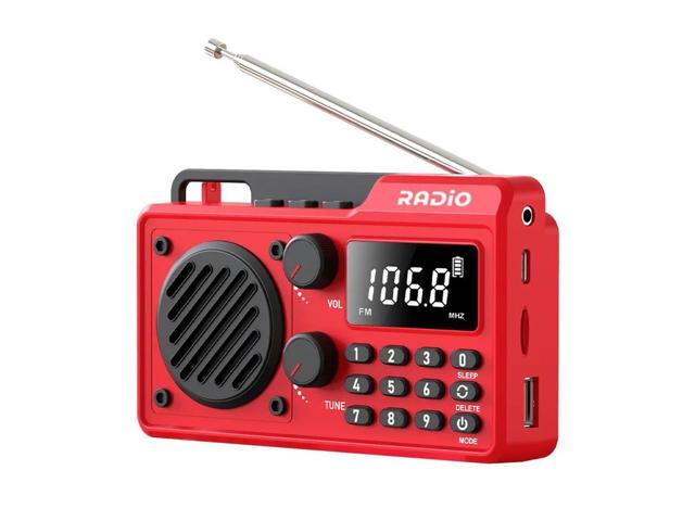 AM FM Radio BT Speaker Operated Radio Support TF Card U Disk Earphone Sleep Timer Gifts for Seniors Elderly