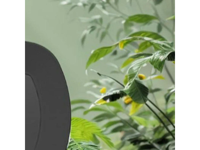Reptile Mist Sprinkler & Timer Reptile Humidifiers Terrariums Humidifier for Terrariums Amphibian Lizard Snake Frog Plants