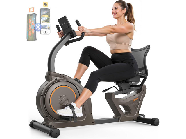 Niceday Recumbent Exercise Bike, Recumbent Bike for Home, Recumbent Stationary Bike 400LBS Weight Capacity, Magnetic Recumbent Bike with Smart APP,...