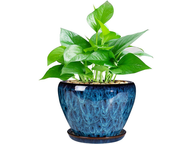Ceramic Modern Glaze Succulent Planter Pot with Drainage Hole and Saucer 6 Inch Round Flower Plant Pot for Indoor Outdoor Herb Snake Plants