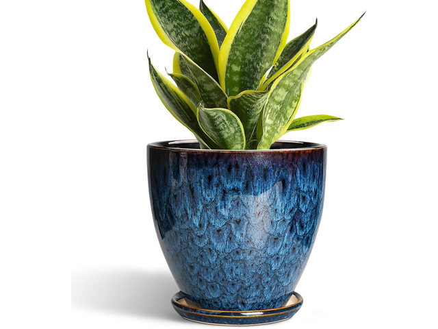 6 Inch Plant Pot - Ceramic Pots for Plants with Drainage Hole and Saucer, Ceramic Planters for Indoor Plants Outdoor, Decorative Round Planter,...