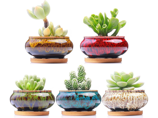 Cute Ceramic Succulent Garden Pots, Planter with Drainage and Attached Saucer, Set of 5 -Plants Not Included (Burner)