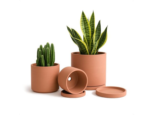 D'vine Dev Terracotta Pots for Plants, 4.2 Inch 5.3 Inch 6.5 Inch, Succulent Planter Pot with Drainage and Saucer, 40-T-A-0