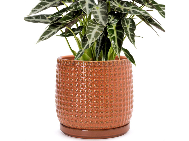 D'vine Dev 8 Inch Ceramic Beaded Stoneware Planter Pot - Flower Pot with Drainage Holes and Saucers for Indoor Succulent Plants or Flowers,...