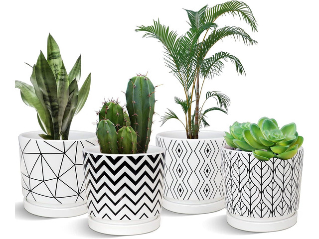 Ton Sin Plant Pots,5.5 Inch White Pots for Indoor Plants with Drainage Holes,Cylinder Flower Pot Ceramic Planters with Saucer,Cactus Succulent...