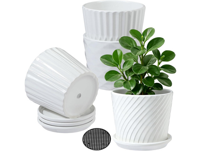 sietpoek Plant Pots - 5.5 Inch Cylinder Ceramic Planters with Connected Saucer, Pots for Succuelnt and Little Snake Plants, Set of 4, White