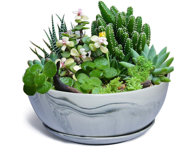 G EPGardening 10Inch Large Planter Marble Pattern Ceramic Succulent Planter Big Plant Pot Succulents Container Flower Pot Indoor Outdoor Decor...