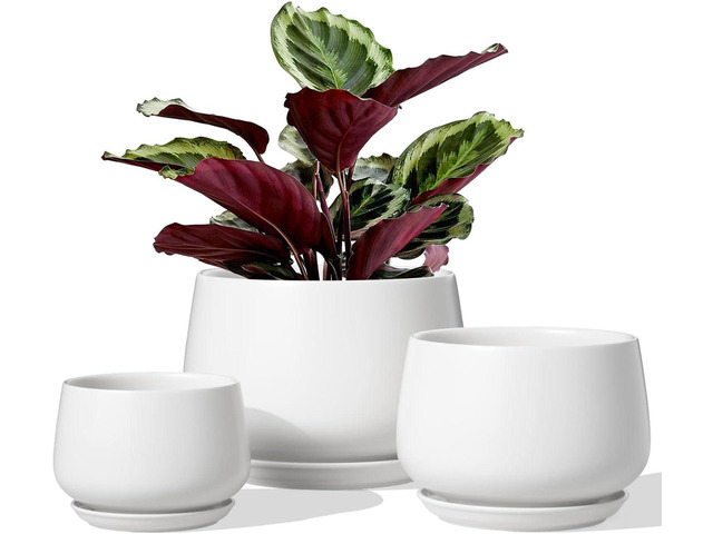 LE TAUCI Ceramic Plant Pots, 4.1+5.1+6.5 inch, Set of 3, Planters with Drainage Hole and Saucer, Indoor Flower Pot with Hole Mesh Pad, Gifts for...