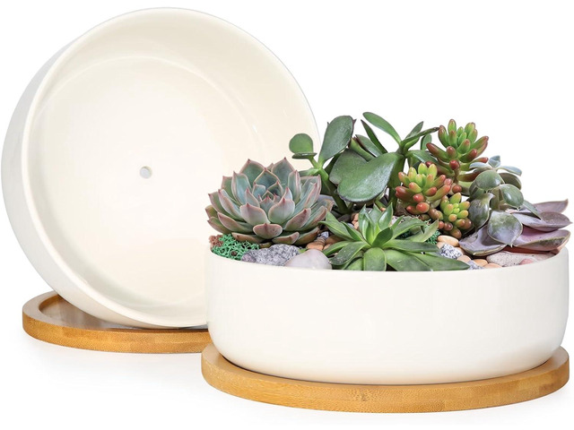 ZOUTOG Succulent Pots,6 Inch Succulent Planters with Drainage and Tray,White Ceramic Planters for Indoor Plants,Round Flower Plant Pots,Pack of 2