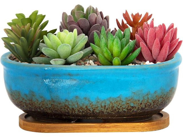ARTKETTY Succulent Pots, 7.9'' Large Ceramic Pots for Indoor Cactus Plants, Shallow Succulent Planters with Drainage Tray, Oval Bonsai Plant...