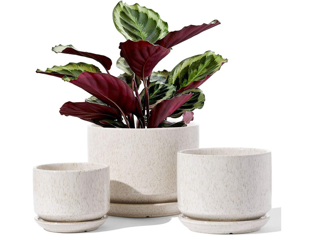 LE TAUCI Ceramic Plant Pots, 4.3+5.3+6.8 inch, Set of 3, Planters with Drainage Hole and Saucer, Indoor Flower Pot with Hole Mesh Pad, Gifts for...