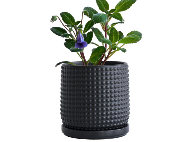 D'vine Dev 6 Inch Ceramic Beaded Stoneware Planter Pot - Flower Pot with Drainage Holes and Saucers for Indoor Succulent Plants or Flowers, Ebony...