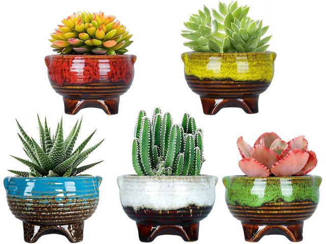 ARTKETTY Succulent Pots - 4 Inch Small Plant Pots with Drainage Pack of 5, Ceramic Pots for Indoor Plants Colorful Cactus Flower Planter Container