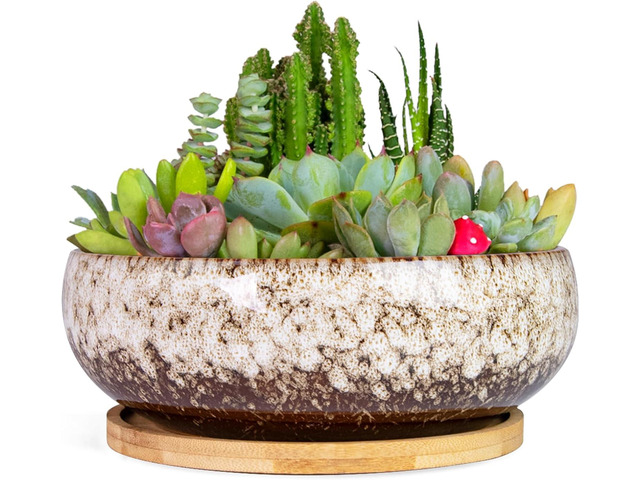 ARTKETTY Succulent Pots - 7.5 Inch Large Plant Pot with Bamboo Tray, Shallow Bonsai Pots with Drainage, Ceramic Planter for Indoor Plants, Cactus,...