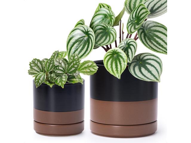 D'vine Dev 4.7 Inch & 6.5 Inch Ceramic Planter Pots for Plants with Drainage Hole and Saucer, Small Plant Pots Set, Black/Speckled Tan, 94-G-S-7