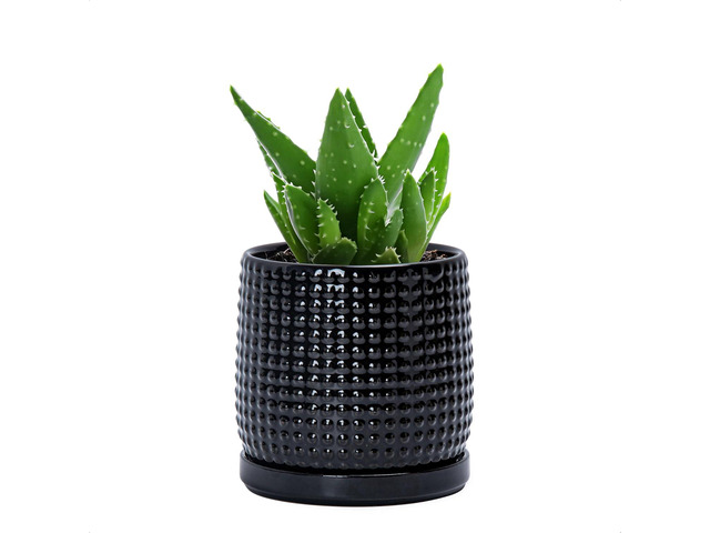 D'vine Dev 4 Inch Ceramic Beaded Stoneware Planter Pot - Flower Pot with Drainage Holes and Saucers for Indoor Succulent Plants or Flowers, Glossy...