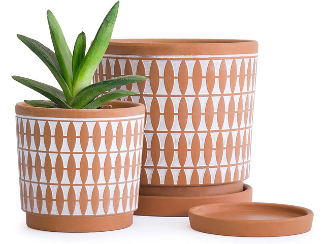 D'vine Dev Set of 2 Terracotta Pots, 4 Inch & 6 Inch, Planter Pots for Plants with Drainage Holes and Saucers, Pottery Red/White, 31-958-B-1