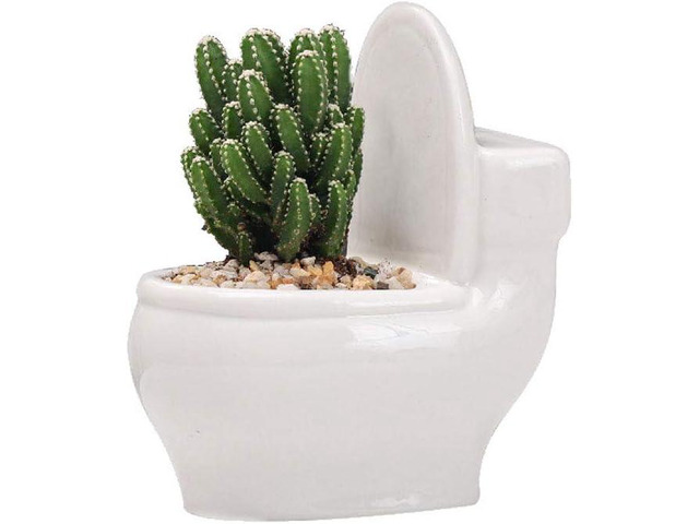 6 White Ceramic Toilet Plant Pot/Bonsai Pot/Flower Pot/Succulent Planter Ideal Gifts for Women, Mom or Birthdays
