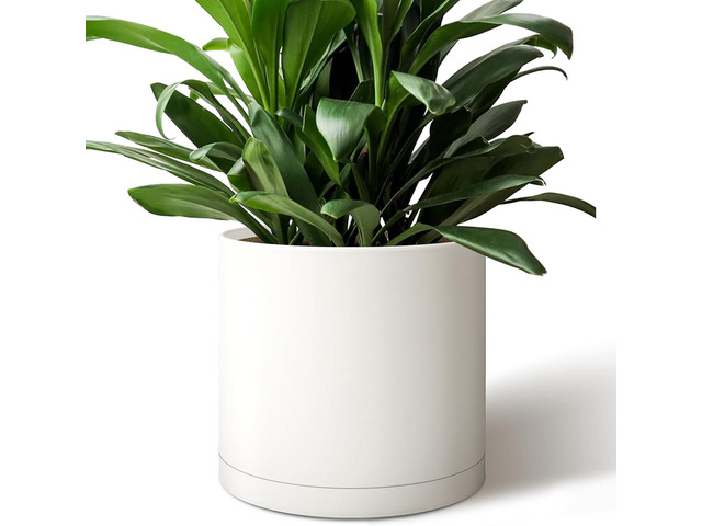 Giraffe Creation 12-Inch Round Cylinder Plant Pot, Modern Indoor/Outdoor Planter with Drainage Hole, Saucer & Water Reservoir, White